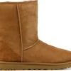 UGG Enkellaarzen Heren / Boots / Laarzen / Herenschoenen - Wol - Classic Short - Cognac - Maat 43 -Nike Winkel 1200x1010 2