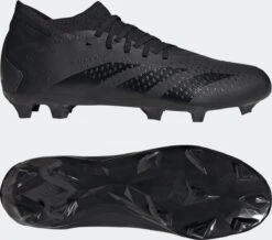 Adidas Predator Accuracy.3 FG - Zwart/zwart