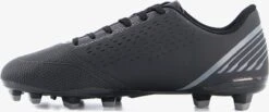 Dutchy Goal Heren Voetbalschoenen FG - Zwart - Maat 40 -Nike Winkel 1200x501 4