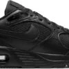 Nike Air Max SC Sneakers