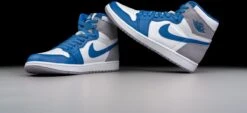 Nike Air Jordan 1 Retro High OG True Blue DZ5485-410 Maat 43 BLAUW Schoenen -Nike Winkel 1200x547 10