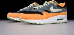 Nike Air Max 1 PRM Duck Honey Dew DZ0482-001 Maat 43 Kleur Als Op Foto Schoenen -Nike Winkel 1200x571 3