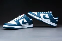 Nike Dunk Low Valerian Blue DD1391-400 Maat 42.5 BLAUW Schoenen 15 Nike Dunk Low Valerian Blue DD1391-400 Maat 42.5 BLAUW Schoenen -Nike Winkel 1200x800 260